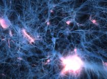 Neuronové sítě