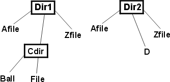 A Direcory Structure Diagram